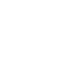 snowflake-and-rugby